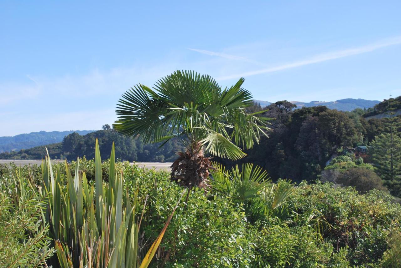 Beach Front:Palms-On-The-Beach.Kaiteriteri. Exterior photo