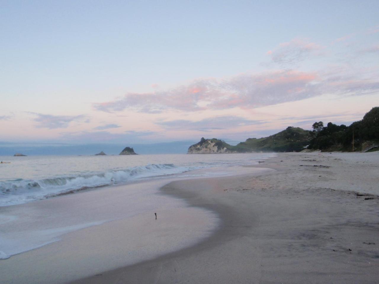 Beach Front:Palms-On-The-Beach.Kaiteriteri. Exterior photo